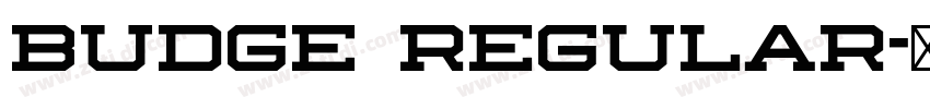 budge regular字体转换